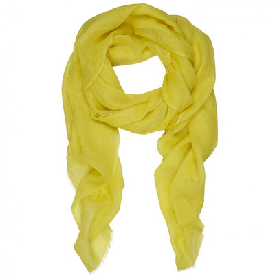 Rene 70 Mimosa scarf
